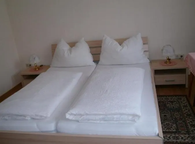 豪斯安妮卡酒店 *